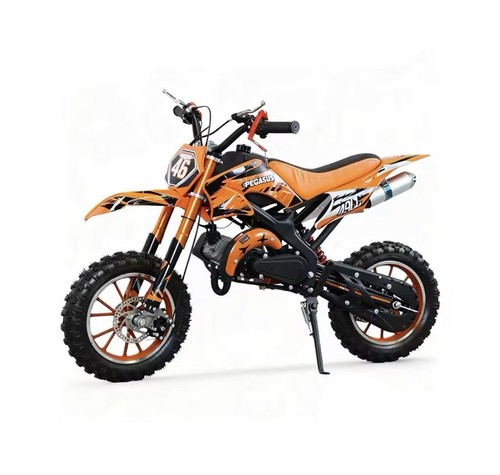 Pegasus 49cc kids dirt bike - kids,