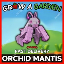 ORCHID MANTIS | CHEAPEST