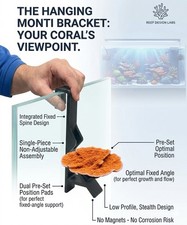 Montipora hanging frag rack
