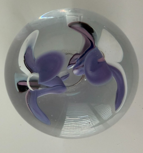 Clear paperweight containing