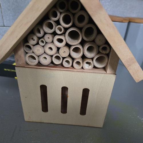 Wooden insect bug - insect, hotel