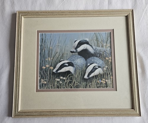 Mark chester badgers wildlife - mark,