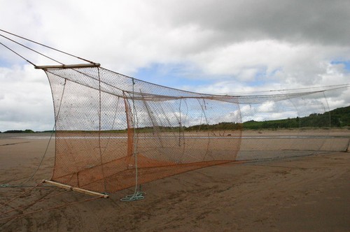 Photo 6x4 salmon net cyrus - st,