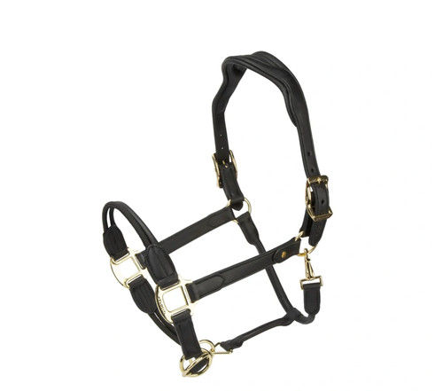 Shires velociti lusso - shires,