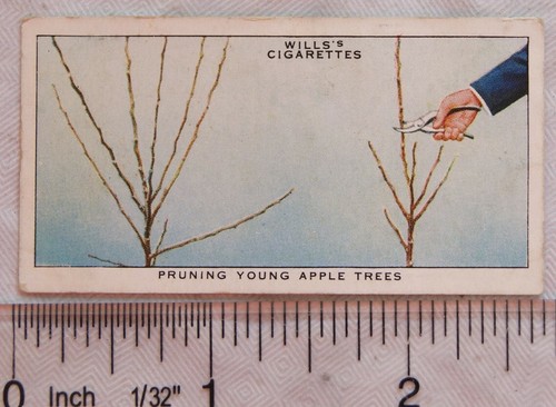 1938 wills garden hints - 1938,