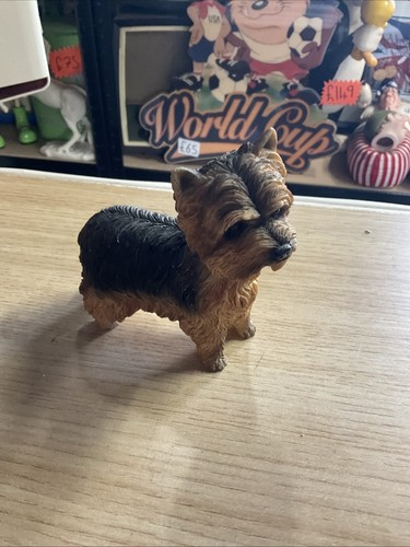 Yorkshire terrier dog - yorkshire,