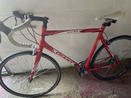Giant men road bike - road,
