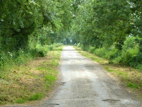 Photo 6x4 pasture lane - pasture, lane,