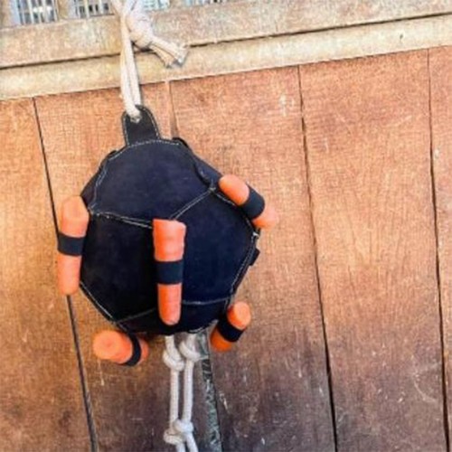 Sturdy hangingcarrot feeder - sturdy,