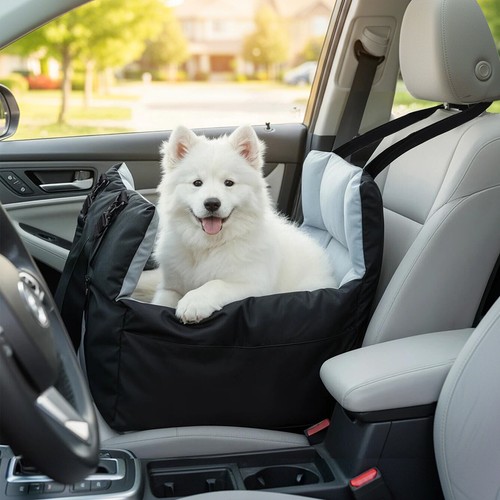 Safety dog car - dog, cosy
