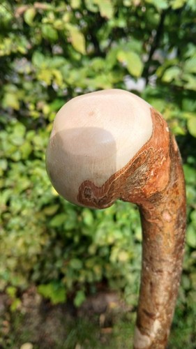 Hazel shillelagh walking stick - hazel,