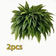 Artificial ferns for - ferns, outdoors