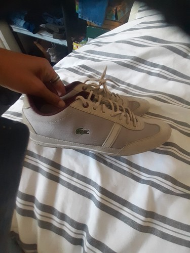 Lacoste beige men low top - low,