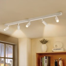 Eofiti 5 Way Ceiling Light