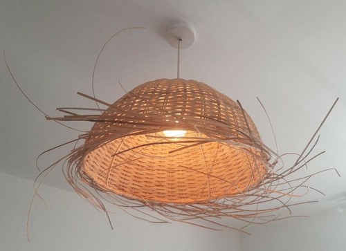 Unusual rattan jellyfish - unusual,