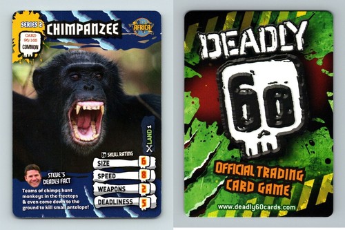 Chimpanzee 165 deadly 60 - chimpanzee,