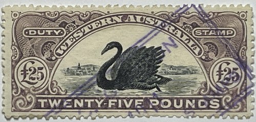 Western australia 1904 revenue - western,