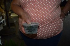 3 cups of Christmas Moss