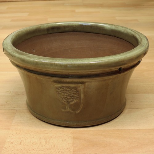 Rhs greyish olive - olive, glazed