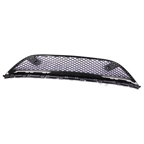 Front bumper mesh grille - front,
