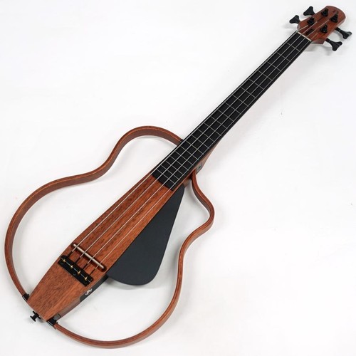 Natasha guitar nbsg - natasha,