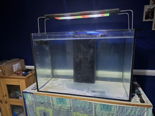 Marine fish tank full setup - marine,