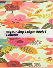 Accounting Ledger Book 6