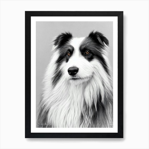 Polish lowland sheepdog w - lowland,