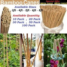 Heavy Duty Bamboo Garden Canes