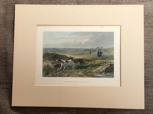 Victorian color mounted print - mounted,