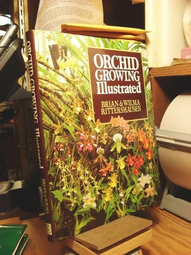 Orchid growing - orchid,