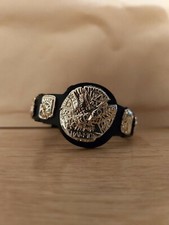 Jakks WWF/WWE Hardcore