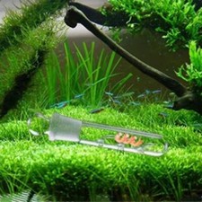 Aquarium Pest Trap Shrimp