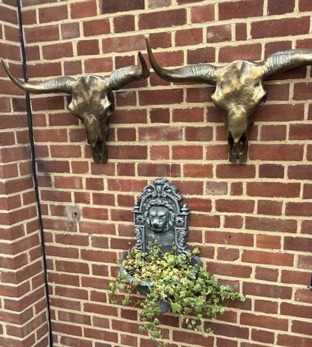 Brass bulls heads set - heads, of