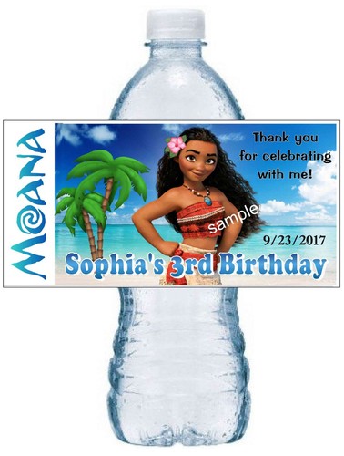 Moana birthday party - ~,