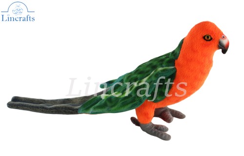 Hansa king parrot - baby, 8223