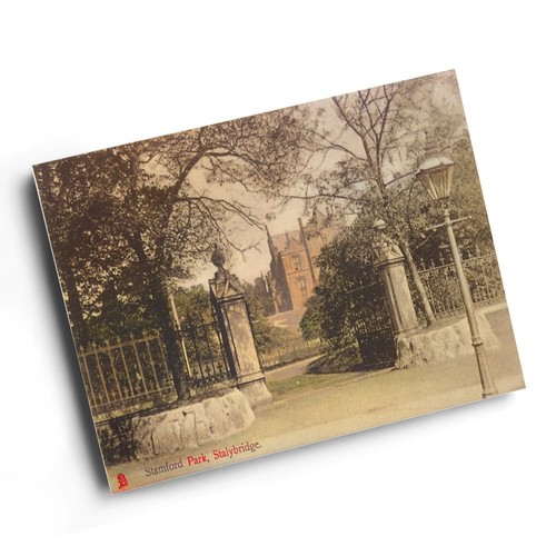 Print vintage cheshire - vintage,