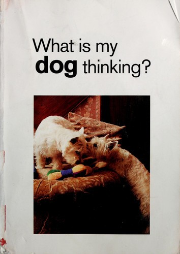 What dog thinking - what, my