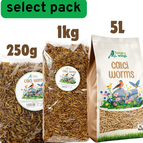Premium wild bird food 250g - wild,