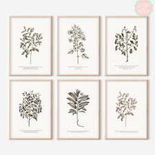 Set of 6 Antique Repro Flower