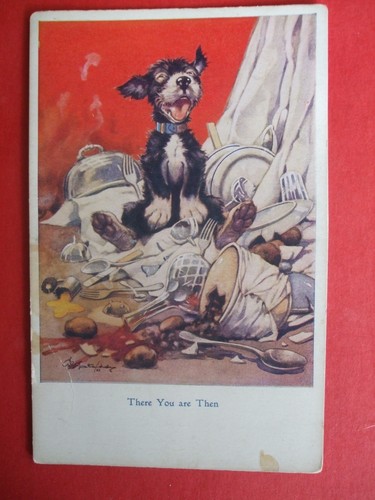 Studdy comic scruffy dog - comic,