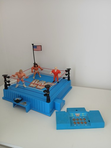 Hasbro wwf wrestling - wwf, with