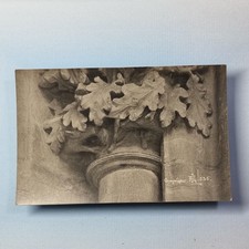 Southwell Nottingham Postcard C1920 Real Photo Pigs & Acorns Church AJ Loughton