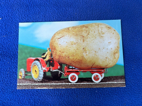 Vintage postcard farming - vintage, giant