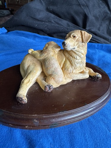 Labrador dog and puppy - labrador,