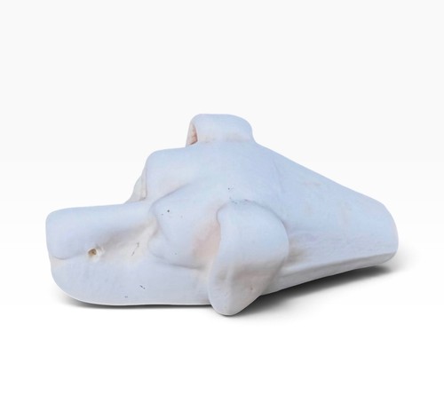English porcelain parian - english, dog