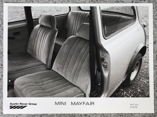Austin rover mini - mayfair, car