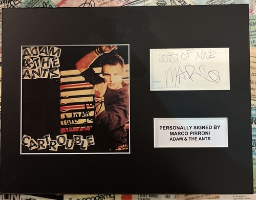 Adam the ants signed - adam,