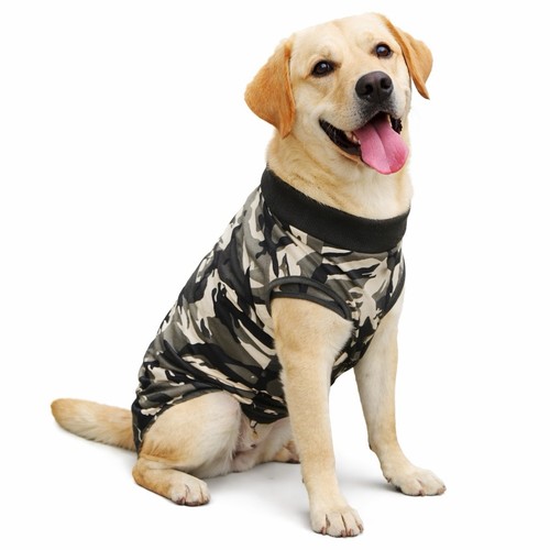 Camouflage dog cat - camouflage,