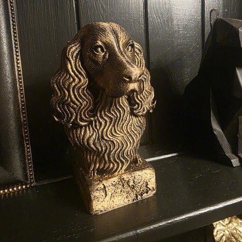 Springer spaniel gold - springer, bust